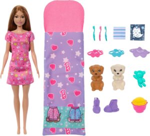 Barbie coffret soirée pyjama avec 2 chiots et changement de couleur HXN01